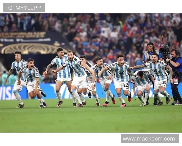 足球传奇之路：揭开球星背后的荣耀与挑战